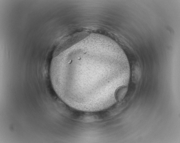 X0000115310608200911231331