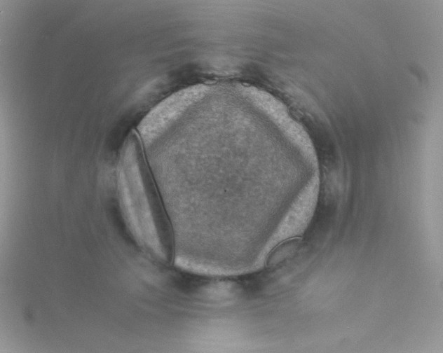 X0000115310609200911231331