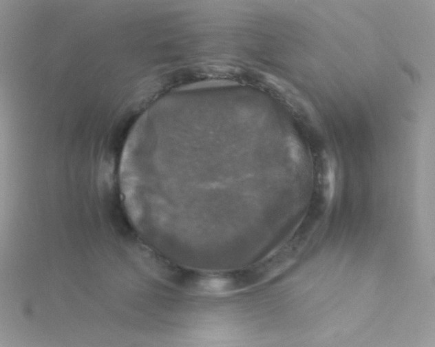 X0000115310610200911231331