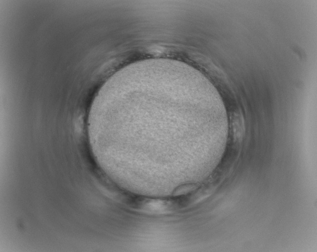 X0000115310611200911231331