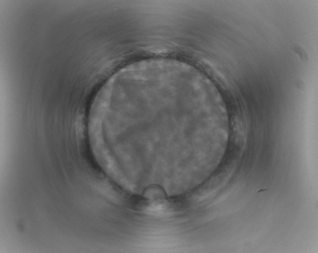 X0000115310612200911231331