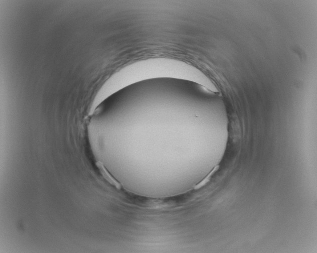 X0000115310613200911231331