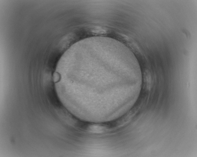 X0000115310614200911231331