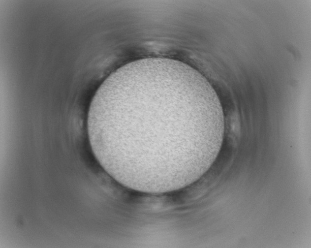 X0000115310615200911231331