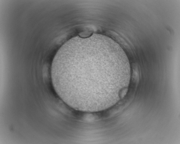 X0000115310616200911231331