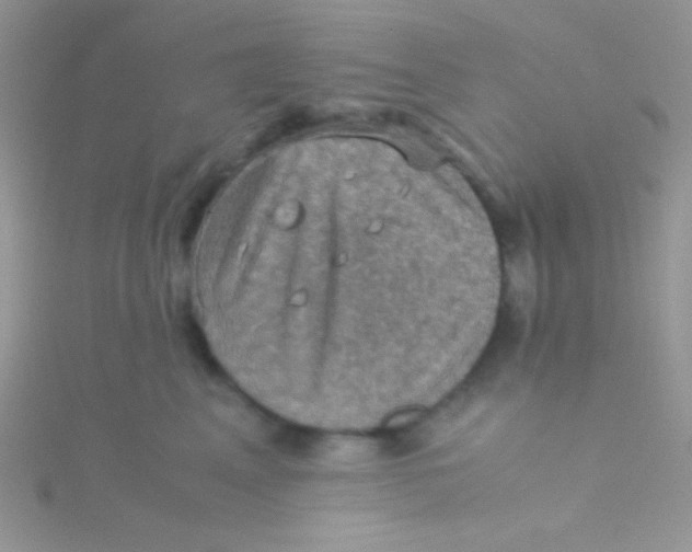 X0000115310617200911231331