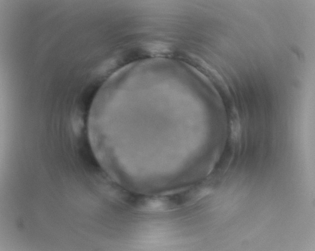 X0000115310618200911231331