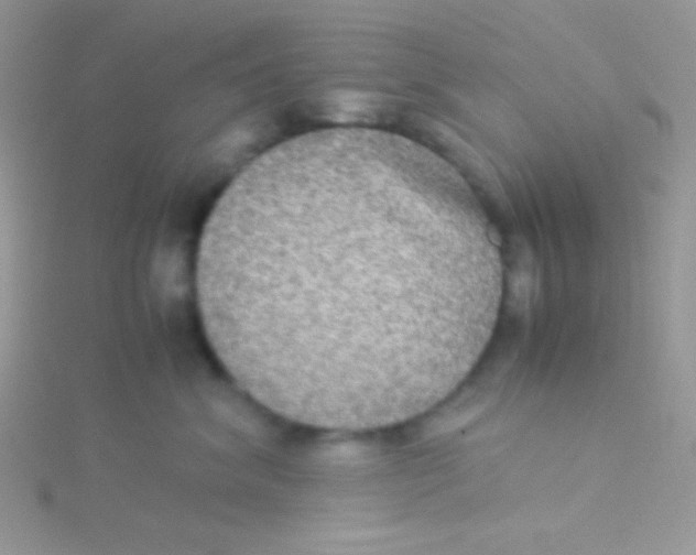 X0000115310620200911231331