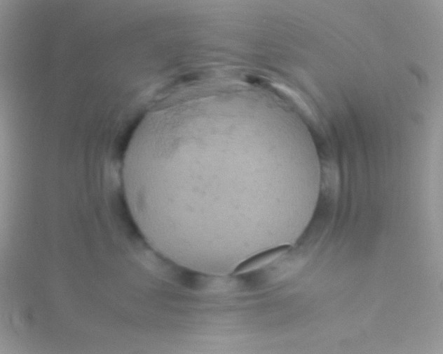 X0000115310621200911231330