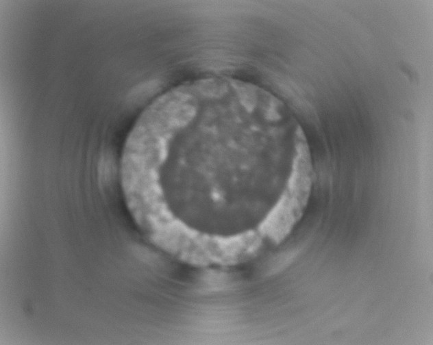 X0000115310623200911231330