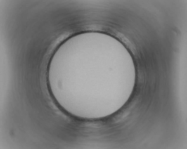 X0000115310625200911231330