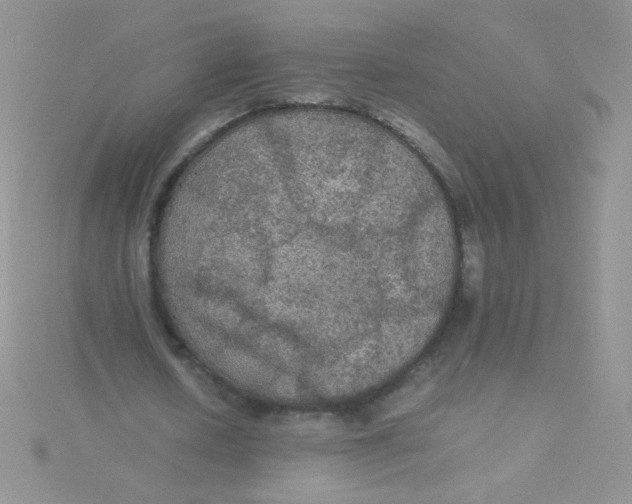 X0000115310626200911231330