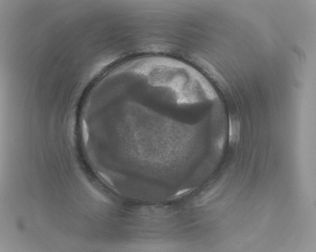 X0000115310627200911231330