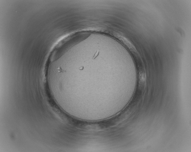 X0000115310628200911231330