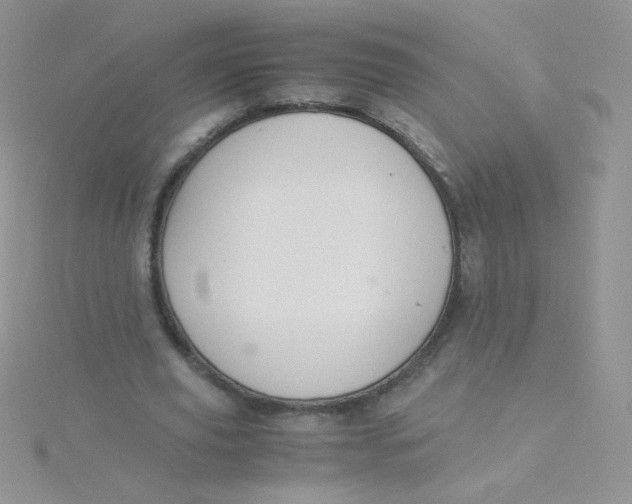 X0000115310629200911231330