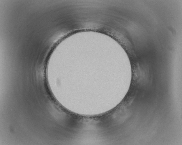 X0000115310632200911231330