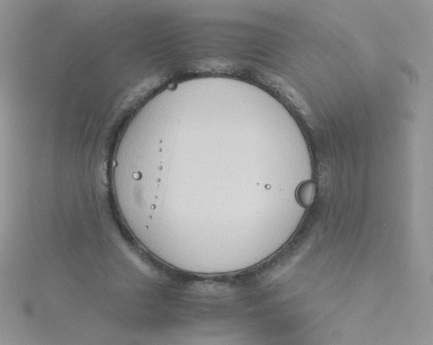 X0000115310633200911231330