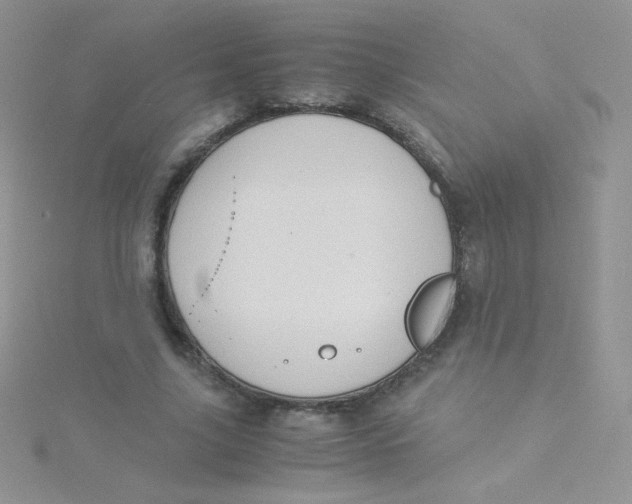 X0000115310635200911231330