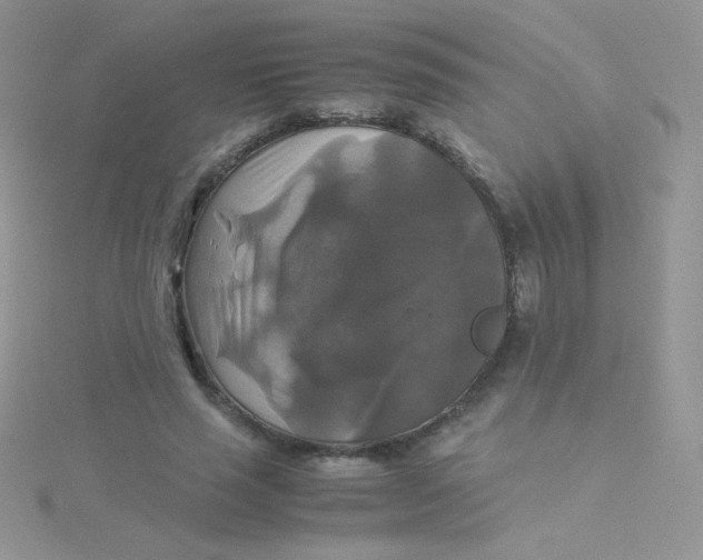 X0000115310637200911231330