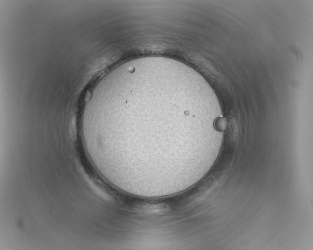 X0000115310638200911231330