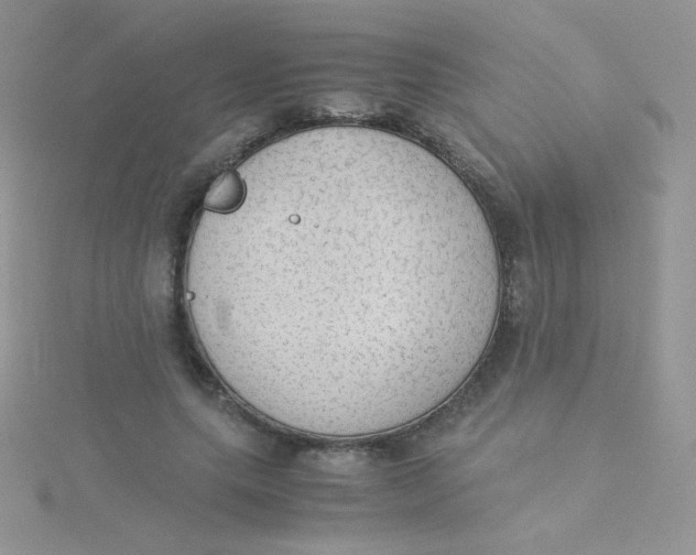 X0000115310639200911231330