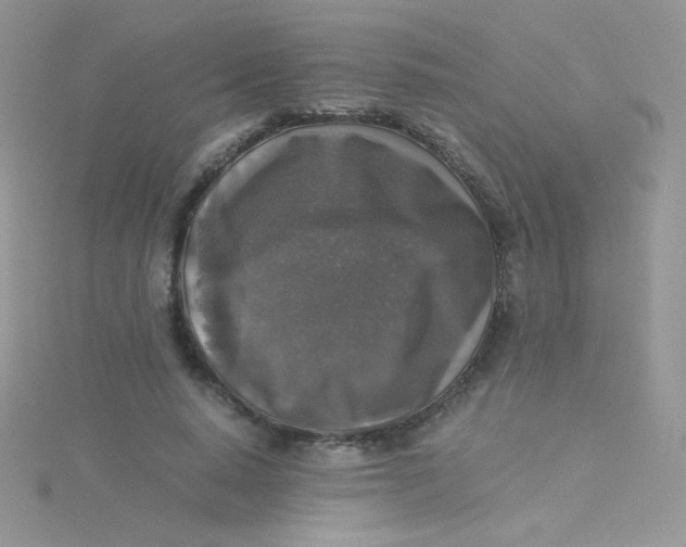 X0000115310640200911231330