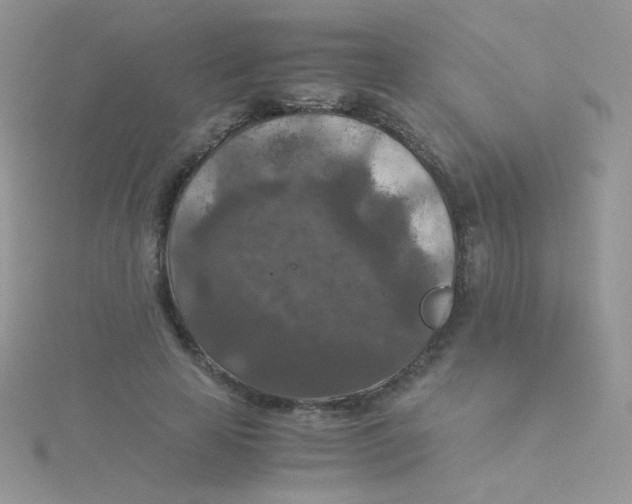 X0000115310641200911231330