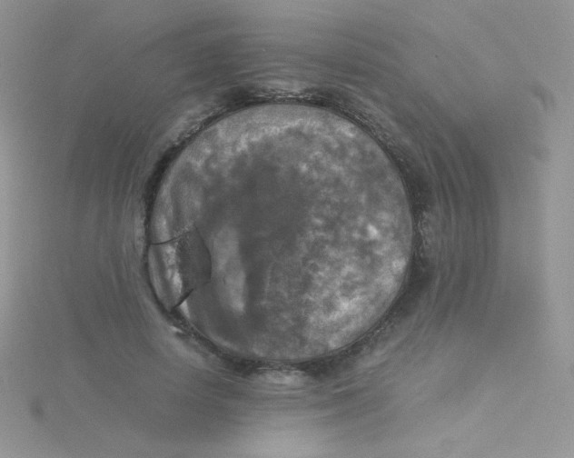 X0000115310642200911231330