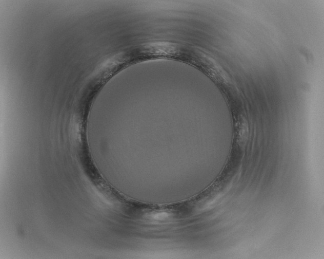 X0000115310643200911231330