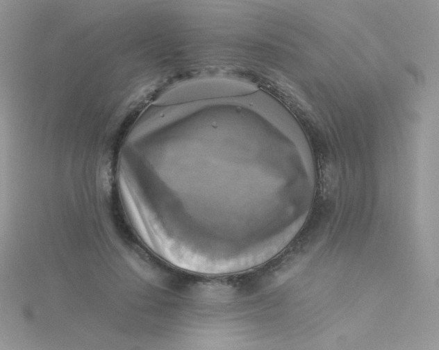 X0000115310644200911231330