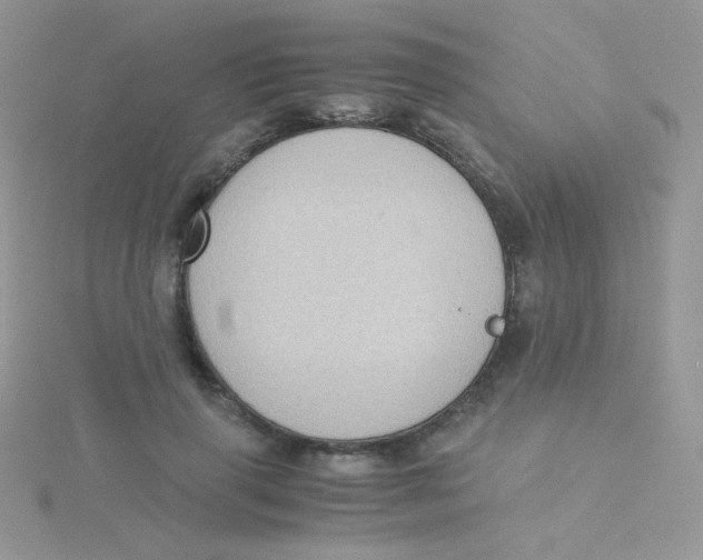 X0000115310645200911231330