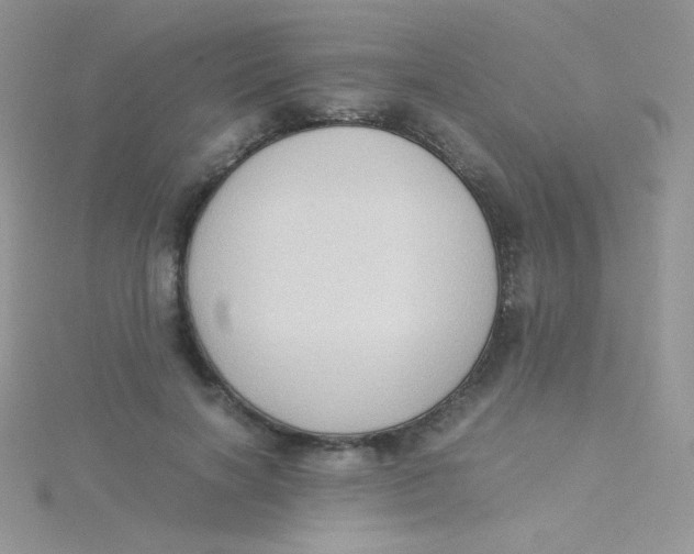 X0000115310646200911231330