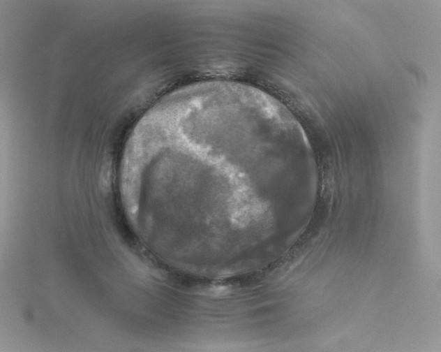 X0000115310647200911231330