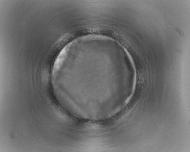 X0000115310648200911231330