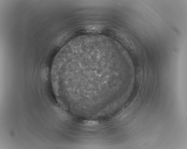 X0000115310649200911231330