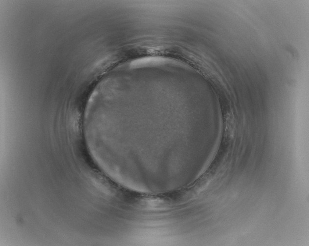 X0000115310650200911231330