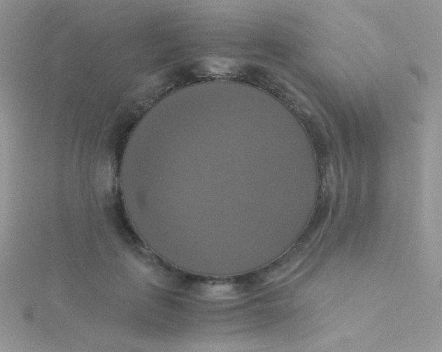 X0000115310651200911231330