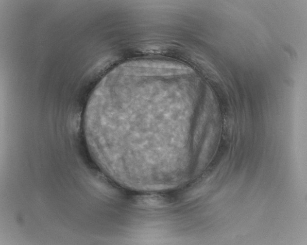 X0000115310652200911231330