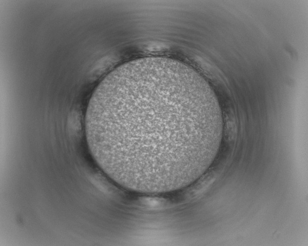 X0000115310654200911231330