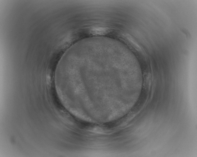 X0000115310655200911231330