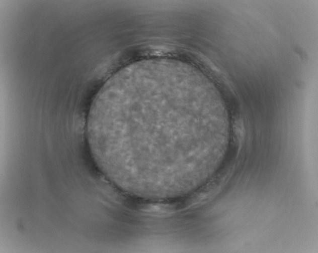 X0000115310657200911231330