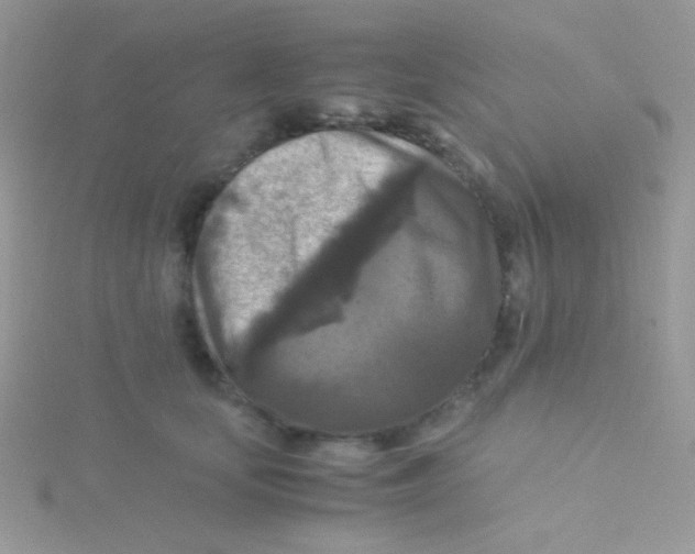 X0000115310659200911231330