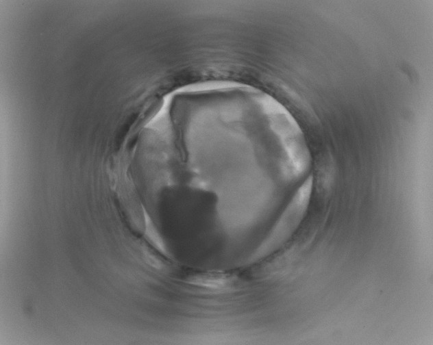 X0000115310661200911231330