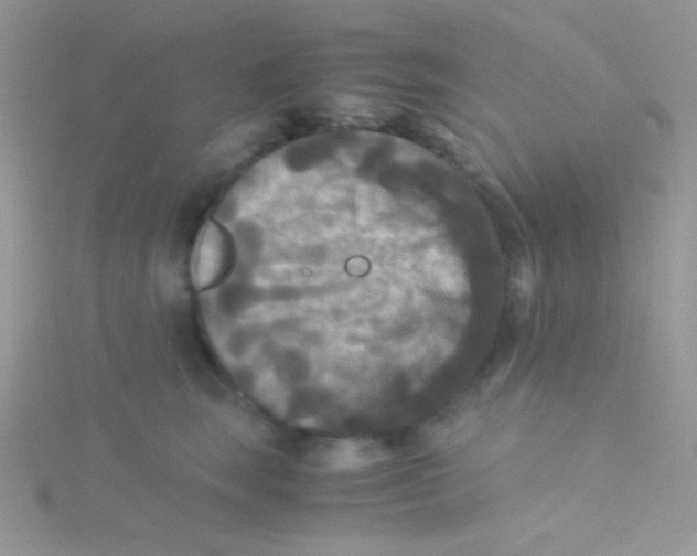 X0000115310663200911231330