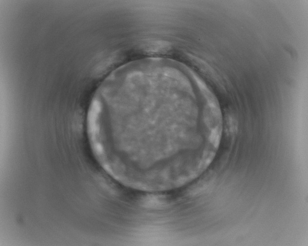 X0000115310664200911231330