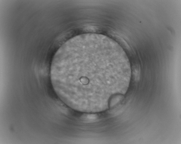 X0000115310665200911231330