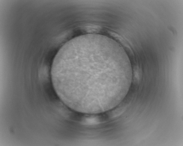 X0000115310667200911231330