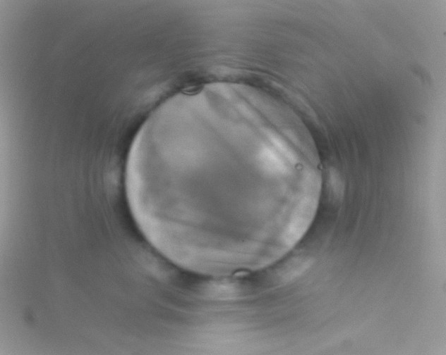 X0000115310668200911231330