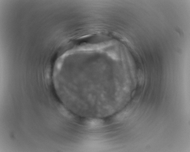 X0000115310670200911231330