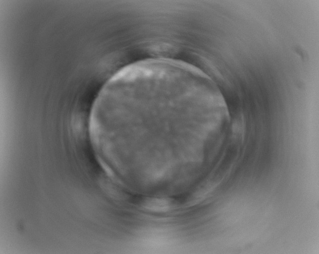 X0000115310671200911231330